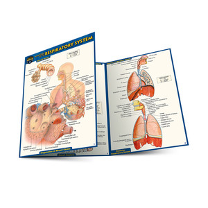 QuickStudy | Anatomy of The Respiratory System Laminated Pocket Guide