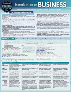 QuickStudy | Introduction to Business Laminated Study Guide
