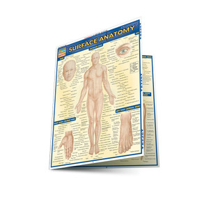 QuickStudy | Surface Anatomy Laminated Study Guide