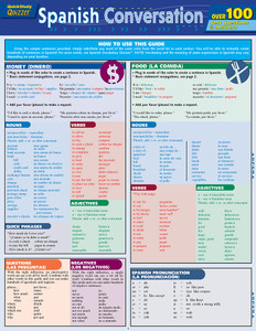 QuickStudy | Spanish Conversation Quizzer Laminated Study Guide