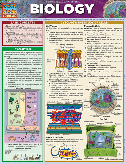 Quick Study QuickStudy Biology Laminated Study Guide BarCharts Publishing Biology Reference Guide Cover Image