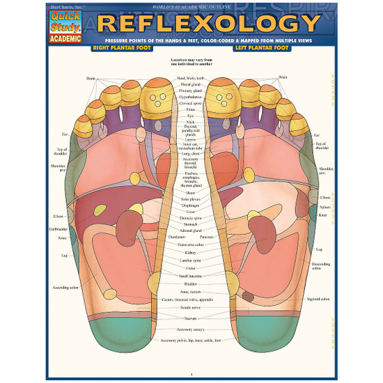 Quick Study QuickStudy Reflexology Laminated Study Guide BarCharts Publishing Medical Reference Guide Cover Image