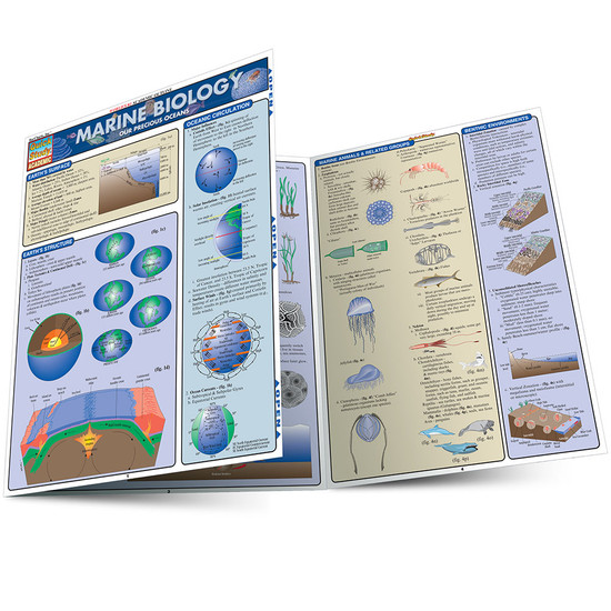 Quick Study QuickStudy Marine Biology Laminated Study Guide BarCharts Publishing Academic Reference Guide Main Image