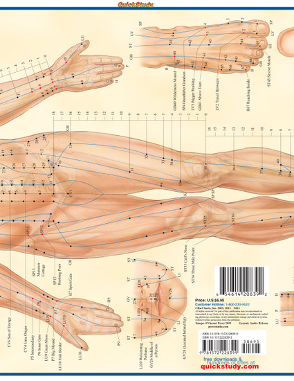 Quick Study QuickStudy Acupressure Laminated Study Guide BarCharts Publishing Acupressure Reference Back Image