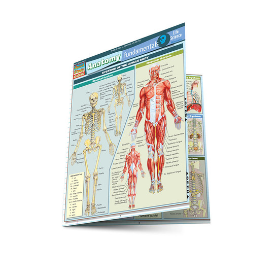 QuickStudy | Anatomy Fundamentals: Life  Science Laminated Study Guide