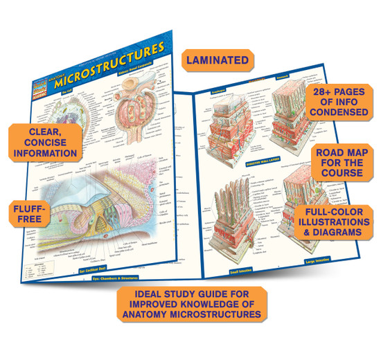 Quick Study QuickStudy Anatomy: Microstructures Laminated Study Guide BarCharts Publishing Academic Medical Reference Guide Benefits