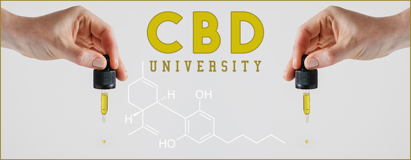 CBD Courses - A Growing Trend in Colleges and Universities