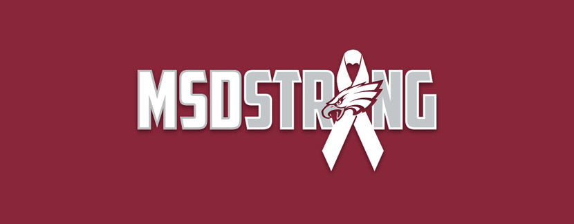 One Year Later, We Remain #MSDStrong