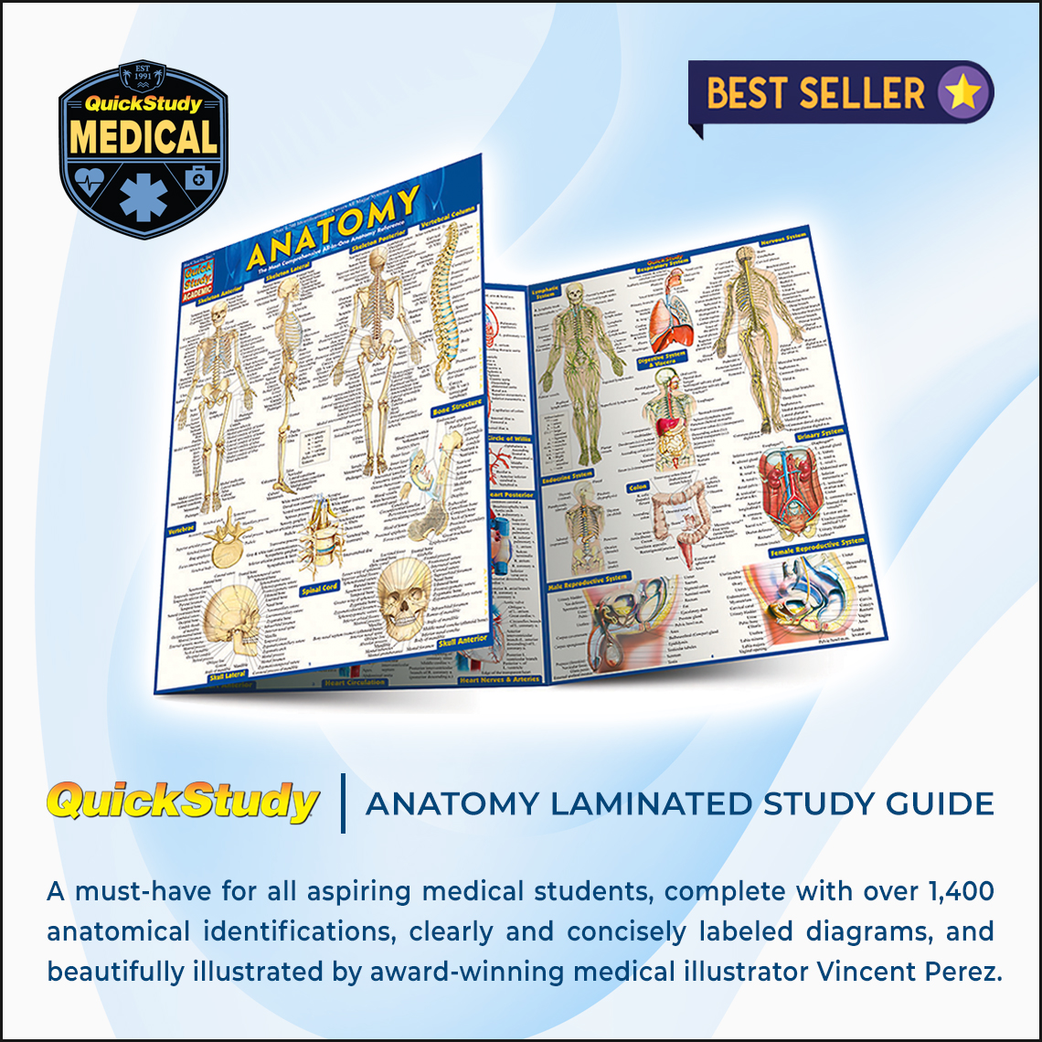 BarCharts Publishing Inc | makers of QuickStudy