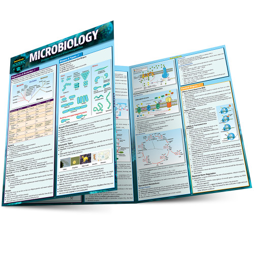 QuickStudy Microbiology Laminated Study Guide (9781423233190)