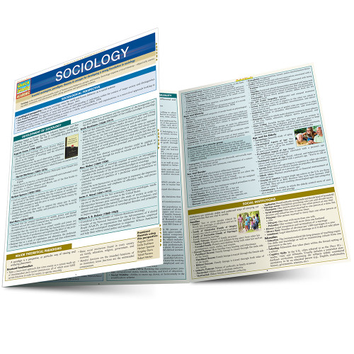 QuickStudy Sociology Laminated Study Guide (9781423224358)