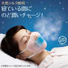 KOBAYASHI Mask w/ Wet Filter for Adult | 小林製藥 加濕口罩 3個 (無香味)