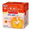 KAO MegRhythm Steam Thermo Patch(Fragrance-free)  花王蒸氣溫熱舒緩貼  無香味 16 Sheets/Box