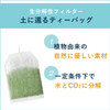 ITO EN Itoen Matcha Green Tea Tea Bag | 伊藤園 綠茶包 含抹茶 20s