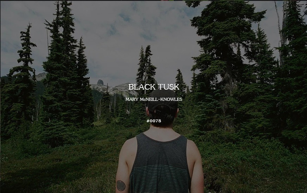 Field Log #0078 - Black Tusk