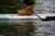 Sundog Inflatable SUP *BLEM*