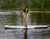 Sundog Inflatable SUP *BLEM*