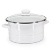 Golden Rabbit Solid White 6 Qt Stock Pot