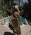 SAMANTHA LACE GOWN - VINTAGE LEOPARD