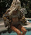 LOVERS & DREAMERS SHORT ROBE - GOLD