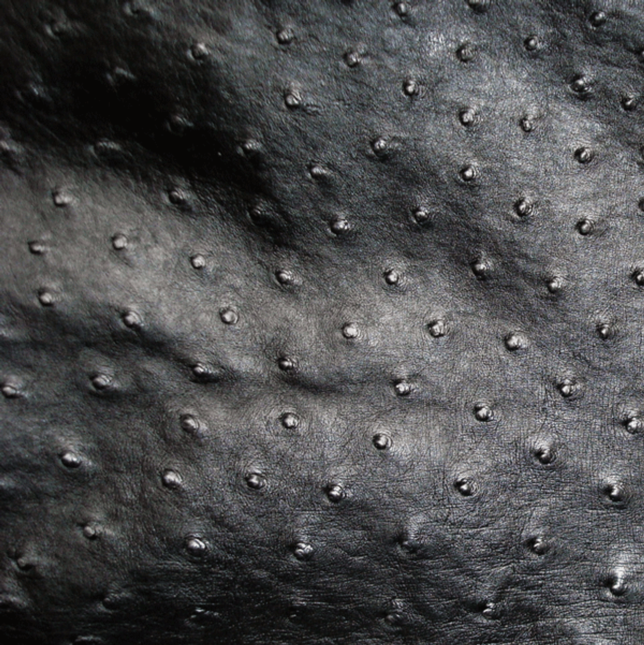 Ostrich Skin Leather - BLACK SF - 15.61 sq ft - Grade 1 - OSTRICH MARKET