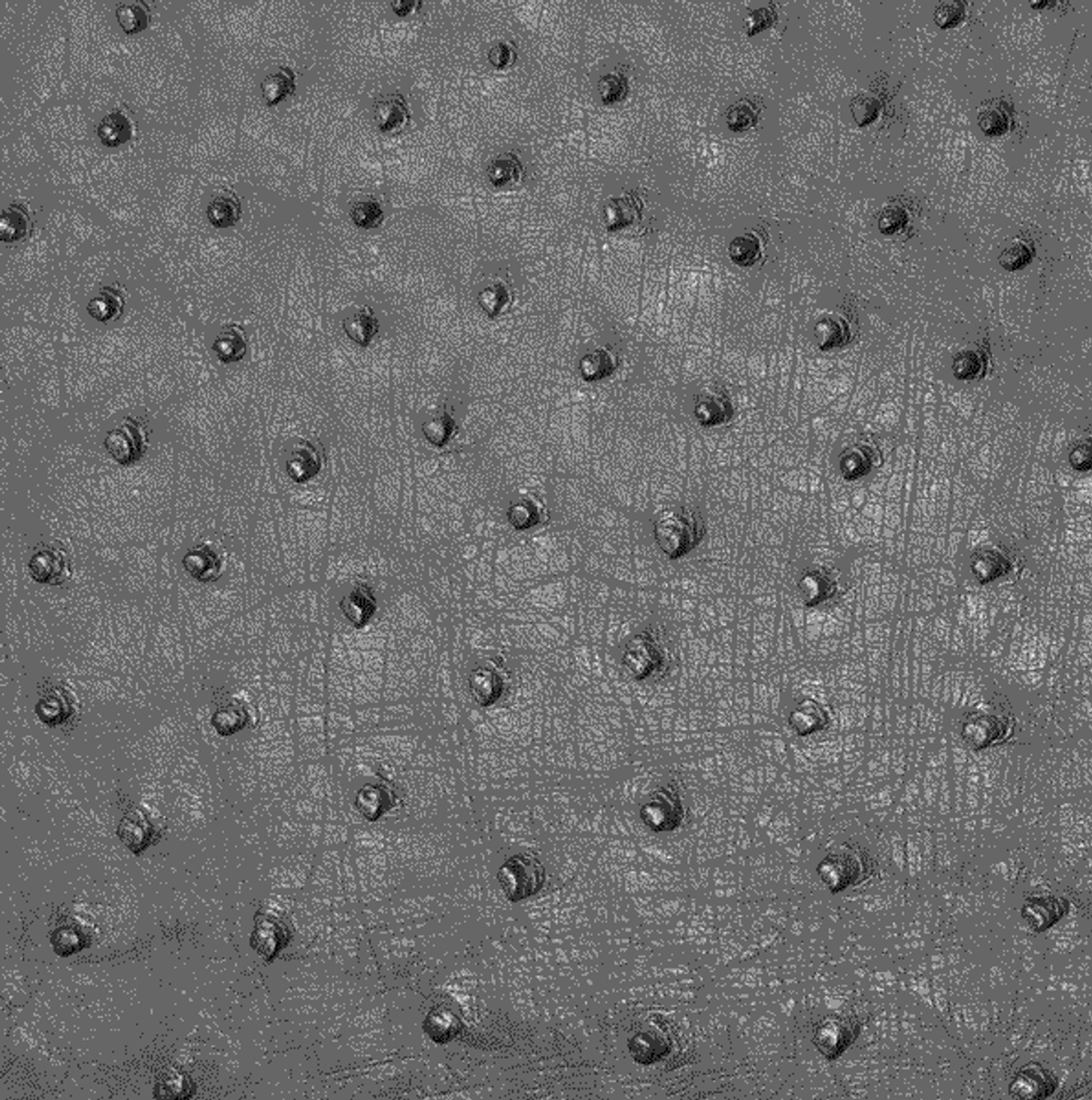 Ostrich Skin Leather - ANTHRACITE SF - 18.7292 sq ft - Grade 3 - OSTRICH  MARKET