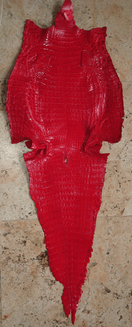 CAIMAN CROCODILE SKIN - RED SUN - HORNBACK - 41cm