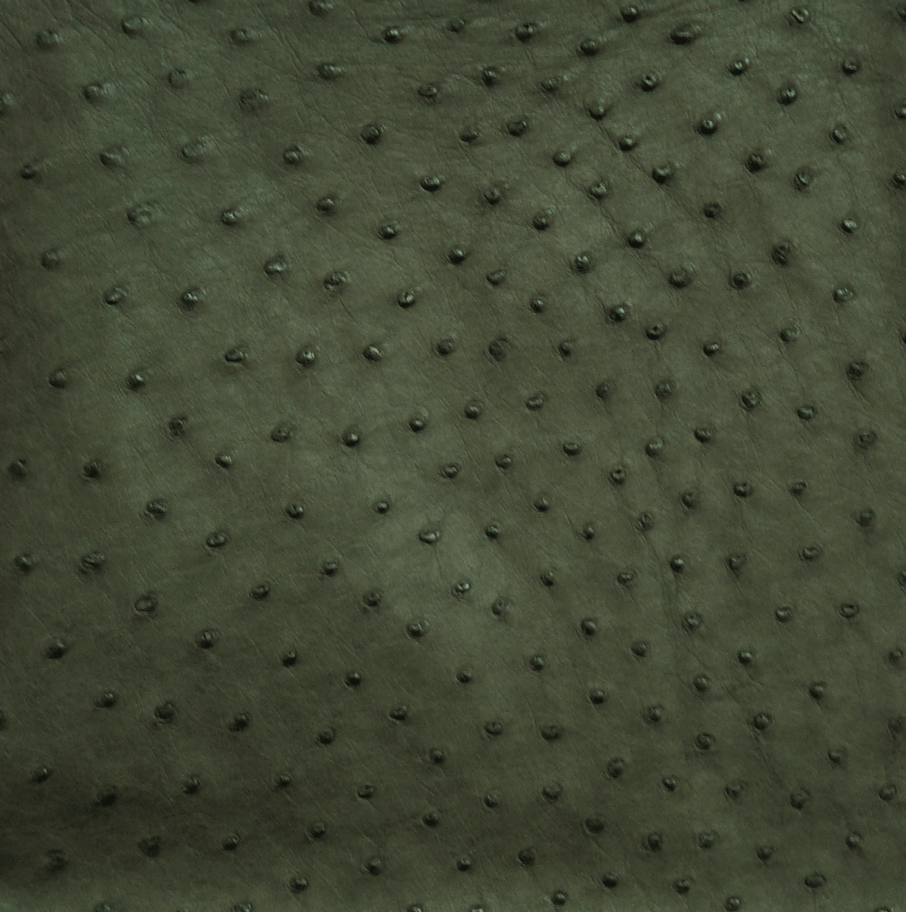 Ostrich Skin Leather - FOREST GREEN SF - 15.9305 sq ft - Grade 2