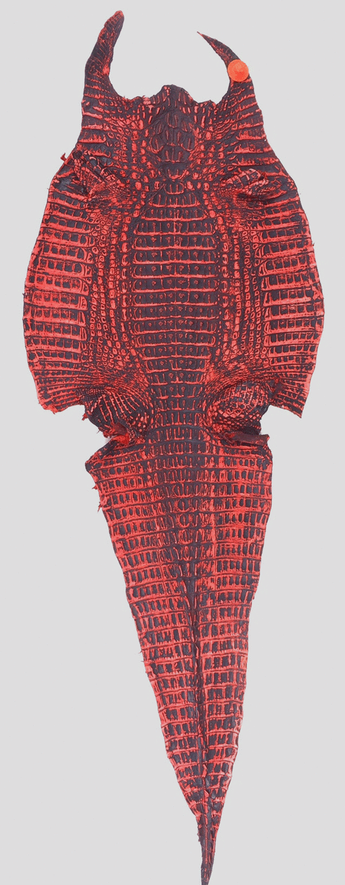 Crocodile Red