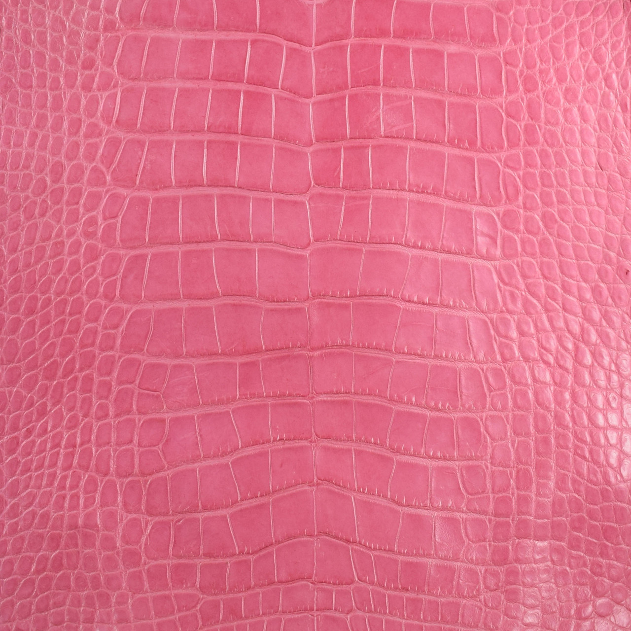 Pink Alligator Skin