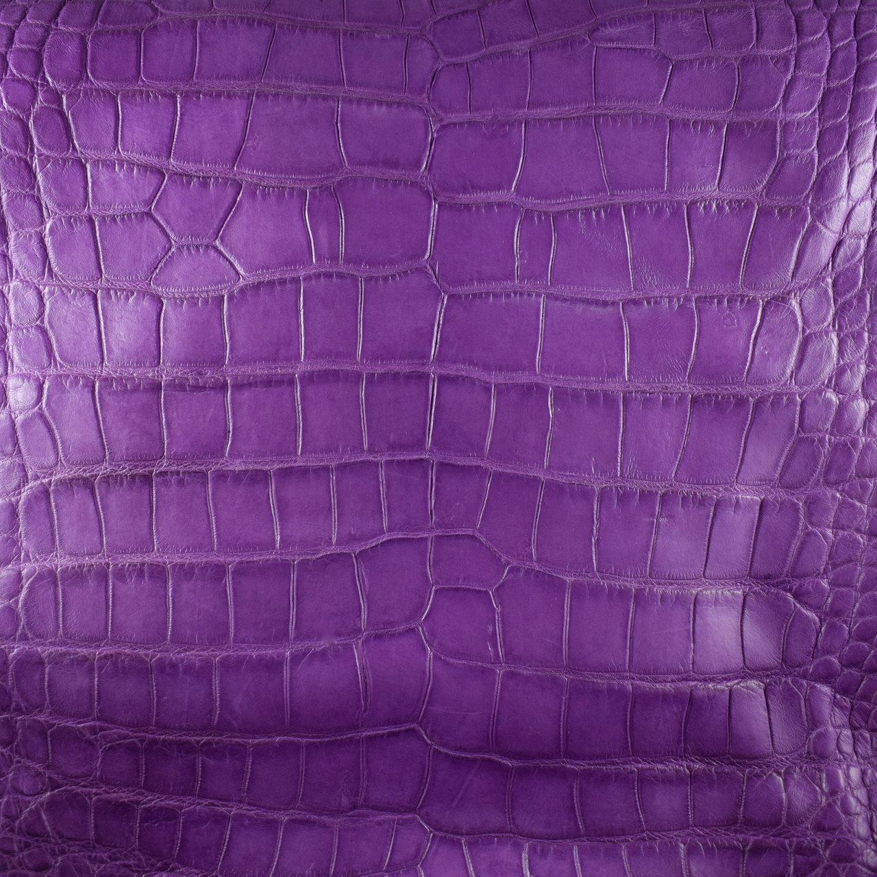 Mud Flap with purple alligator embossed leather - Captain Itch