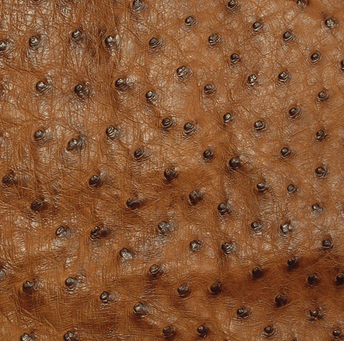 Ostrich Skin Leather - BRANDY MD - 17.868 sq ft - Grade 1