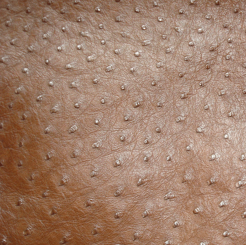 Ostrich Skin Leather - KANGO TABAC MD - 16.684 sq ft - Grade 1