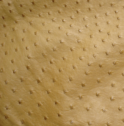 Ostrich Skin Leather - ANTIQUE SADDLE MD - 15.8229 sq ft - Grade 2