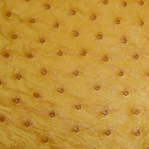 Ostrich Skin Leather - CHRYSANTHEMUM SF - 14.6389 sq ft - Grade 2