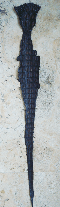 ALLIGATOR BACKSTRAP - DARK BROWN - 42" long ALLIGATOR BACKSTRAP - DARK BROWN - 42" long