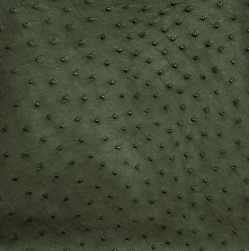 OSTRICH SKIN - FOREST GREEN