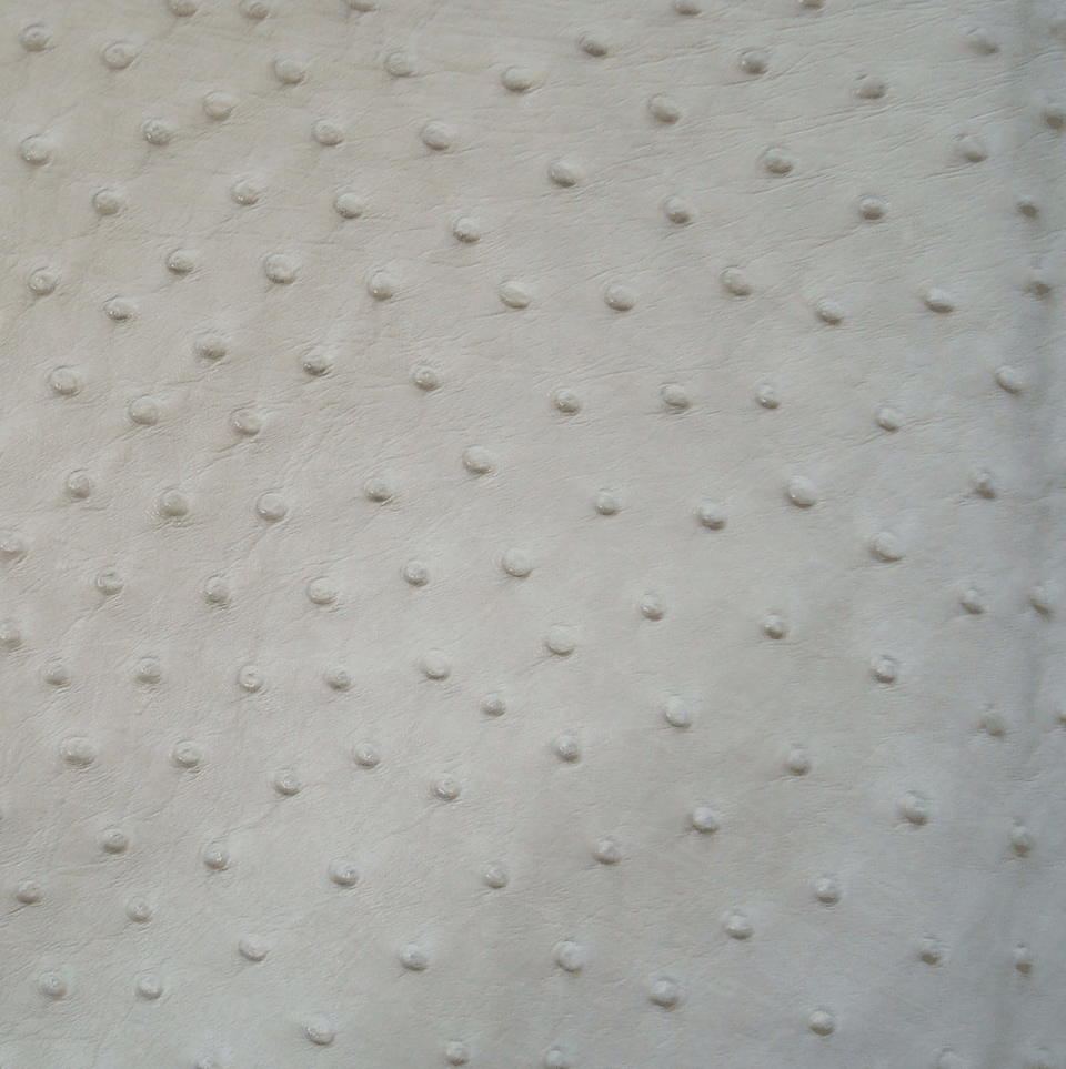 King Exotic Gray Belt Genuine Ostrich Skin main image 0
