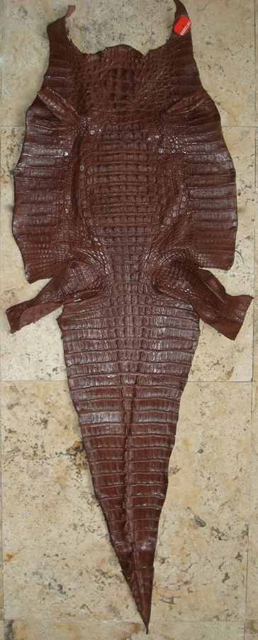 Cognac caiman ~ World Best Alligator ~ Gator Skin Patchwork