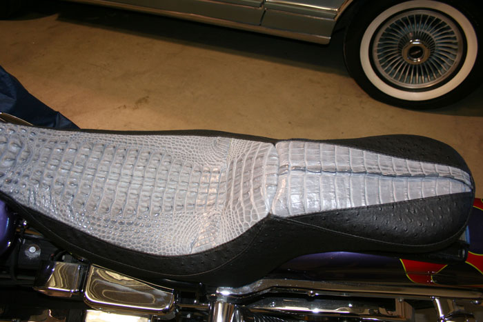 marksbikegreyalligator.jpg