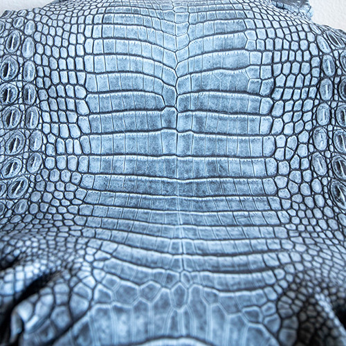 Nile Crocodile Denim - OSTRICH MARKET
