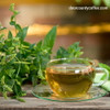 Cup of Harney & Sons Organic Peppermint Herbal Tea