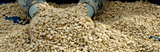 How Coffee Beans Absorb Flavors