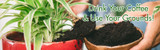 Drink Your Coffee & Use Your Grounds!