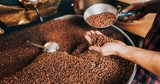 How To Identify High-Quality Coffee Beans Before You Buy