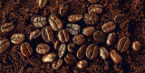 Whole Bean Vs. Ground Coffee