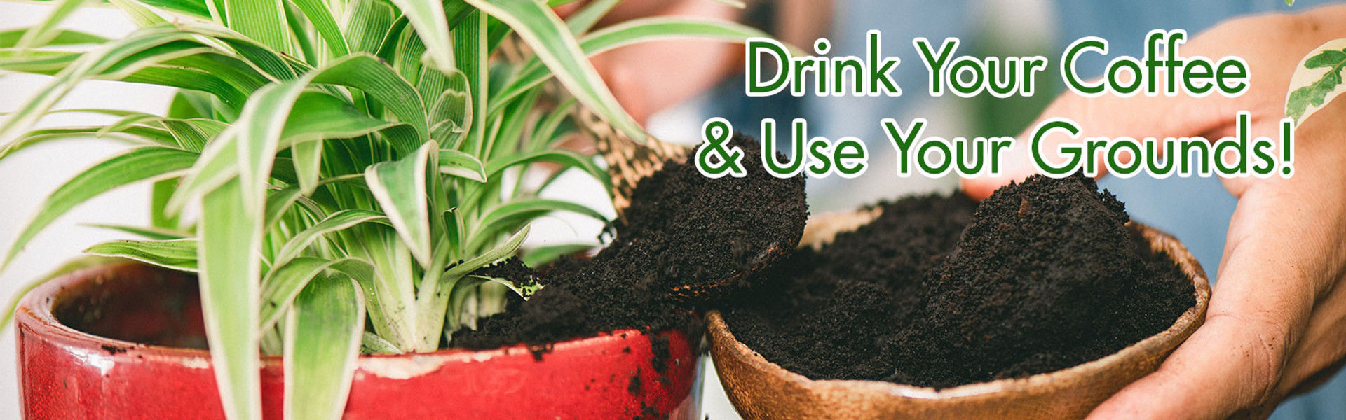 Drink Your Coffee & Use Your Grounds! thumbnail image