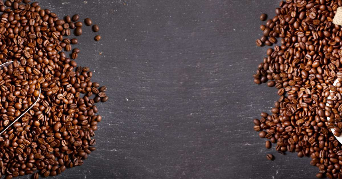Coffee Storage 101: Tips For Keeping Your Beans Fresh thumbnail image
