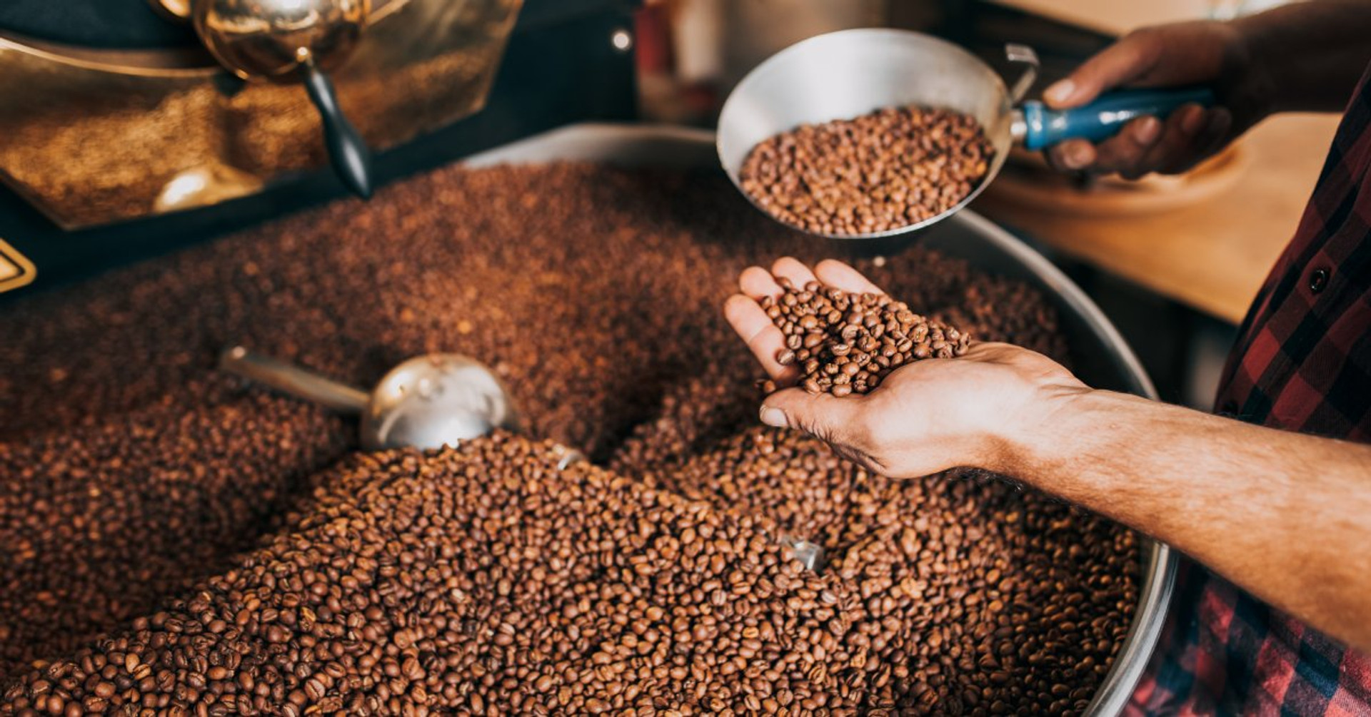 How To Identify High-Quality Coffee Beans Before You Buy thumbnail image