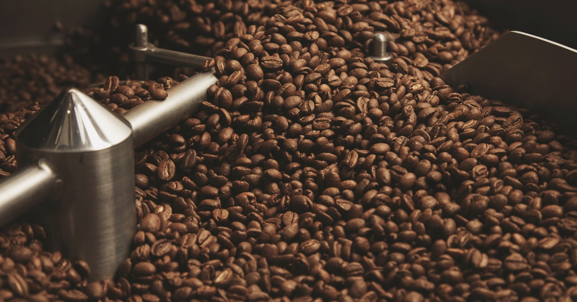 What You Need To Know About Single-Origin Coffee Beans thumbnail image